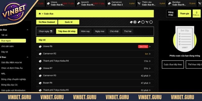Tổng quan thông tin về nhà cái VINBET